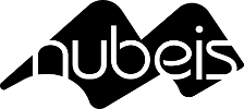 ERP nubeis